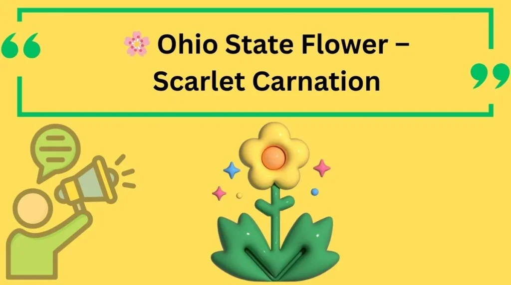 Ohio State Flower – Scarlet Carnation