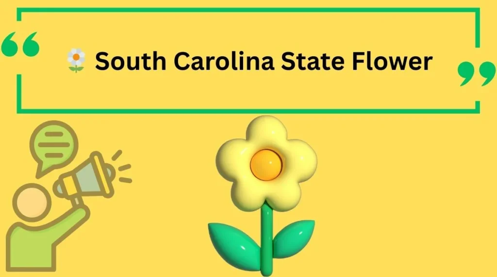 South Carolina State Flower
