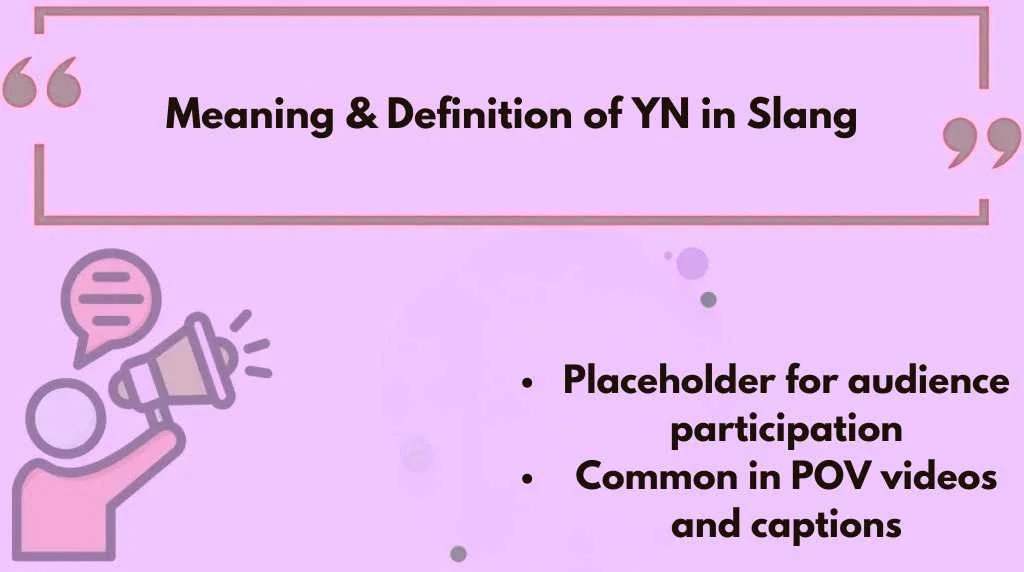 Meaning & Definition of YN in Slang