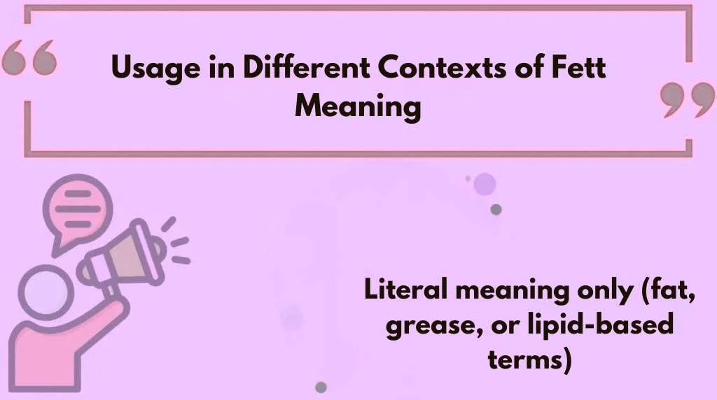 Usage in Different Contexts of Fett Meaning