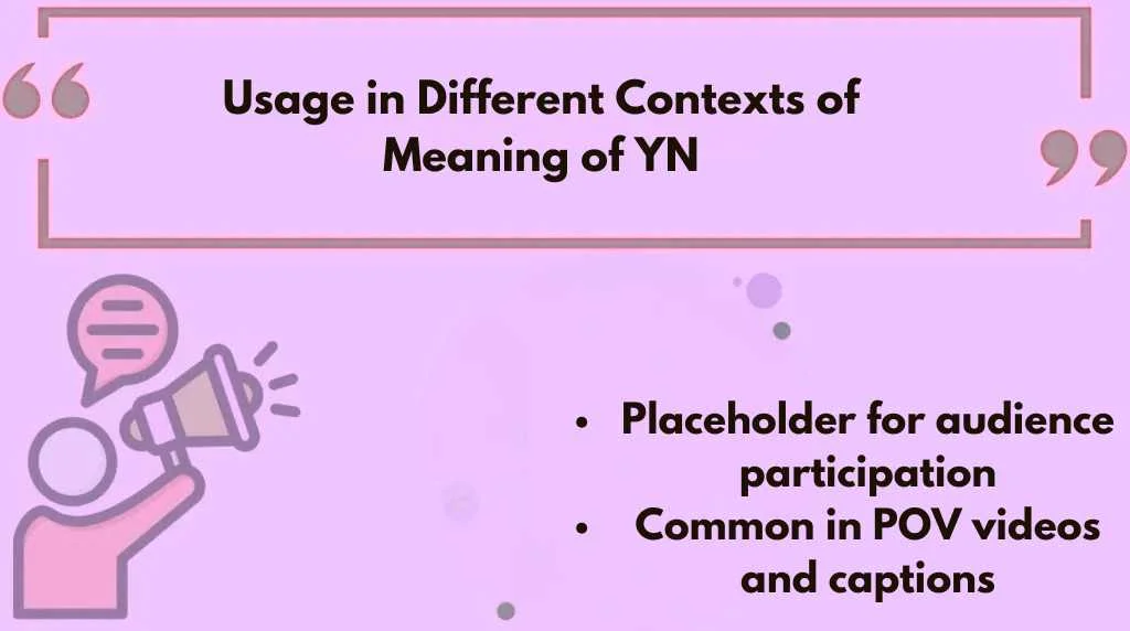 Usage in Different Contexts of Meaning of YN