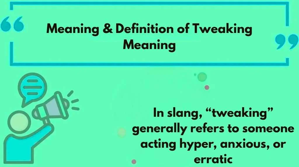 Meaning & Definition of Tweaking Meaning
