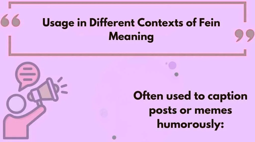 Usage in Different Contexts of Fein Meaning