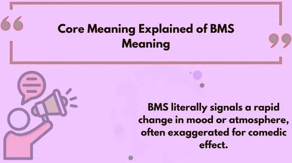 Core Meaning Explained of BMS Meaning