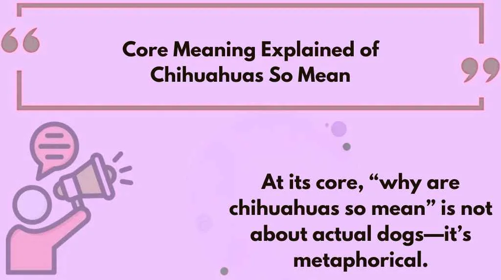 Core Meaning Explained of Chihuahuas So Mean