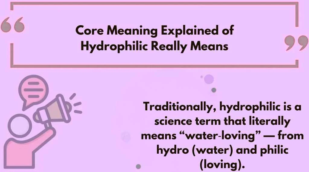 Core Meaning Explained of Hydrophilic Really Means