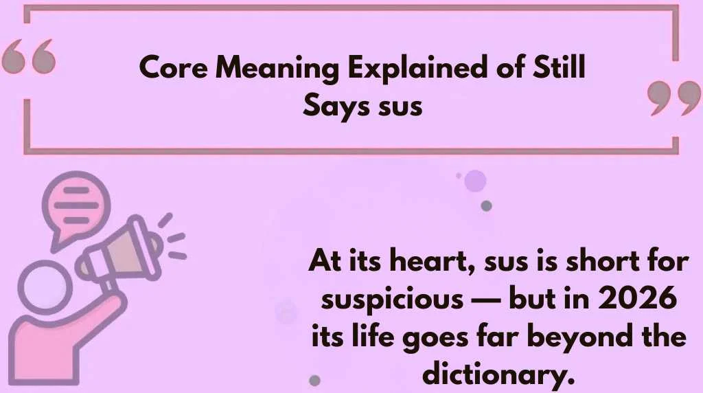 Core Meaning Explained of Still Says sus