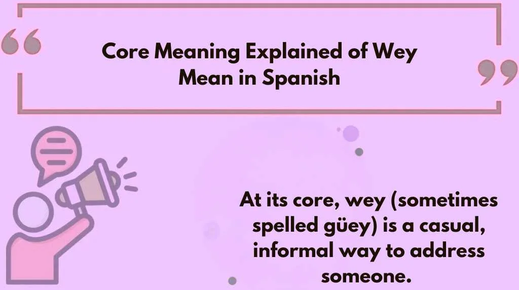 Core Meaning Explained of Wey Mean in Spanish