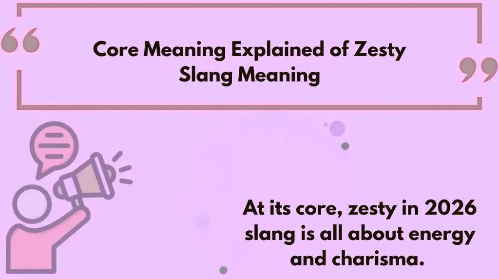 Core Meaning Explained of Zesty Slang Meaning
