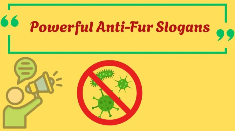Powerful Anti-Fur Slogans