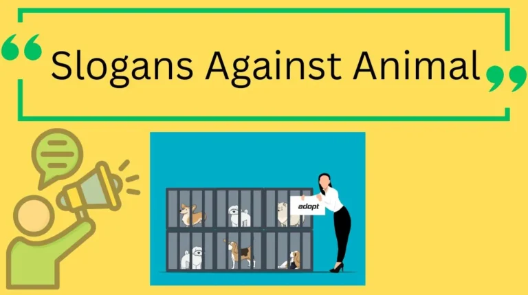 Slogans Against Animal