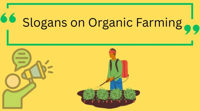 Slogans on Organic Farming