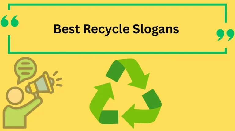 Best Recycle Slogans