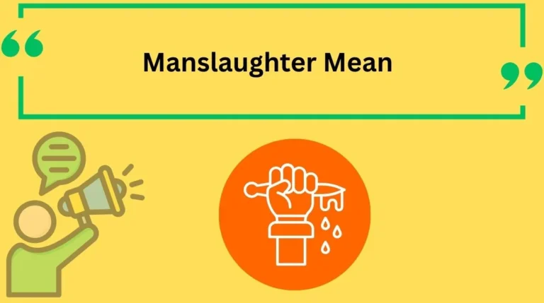Manslaughter Mean