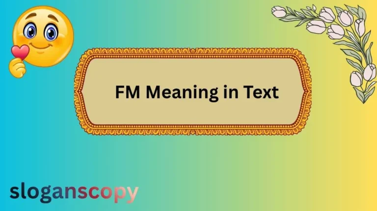 FM Meaning in Text