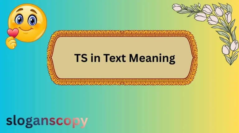 TS in Text Meaning
